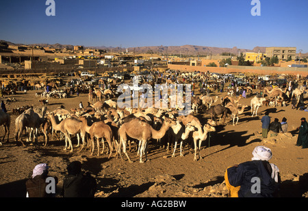 Algerien Tamanrasset Menschen am Kamelmarkt Stockfoto