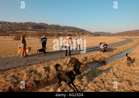 Herr PR Hunde und Hundebesitzer treffen durch Spazierengehen Stockfoto