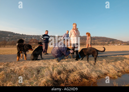 Herr PR Hunde und Hundebesitzer treffen durch Spazierengehen Stockfoto