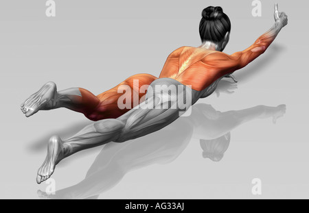 Arm-Beinstrecken (Teil 1 von 2) Stockfoto