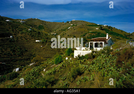 Ein Land-Blick in den Ausläufern der Sierra Almijara auf dem Weg nach Competa in der Nähe von Nerja Andalusien Andalusien Spanien Stockfoto