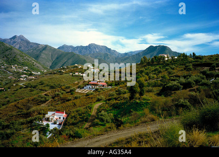 Ein Land-Blick in den Ausläufern der Sierra Almijara auf dem Weg nach Competa in der Nähe von Nerja, Andalusien, Spanien Stockfoto