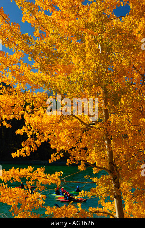 Kajakfahrer am Stausee im Herbst Bow Valley Provincial Park Kananaskis Country entlang Highway 40 Alberta Kanada Stockfoto