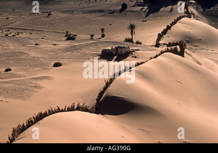 Algerien Kerzaz Palmblätter zum Schutz gegen Verrutschen Sanddüne in der Wüste Sahara oasis Stockfoto