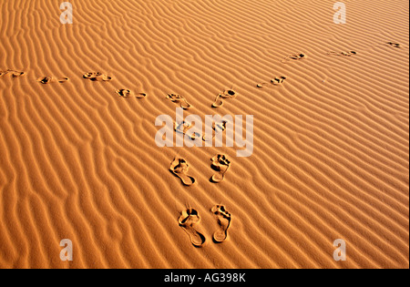 Algerien Djanet Fußabdrücke auf Sand in der Sahara Stockfoto