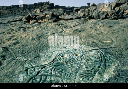 Algerien Djanet prähistorischen Felsen Gravur Kuh im Oued Djerat Vertretung Stockfoto