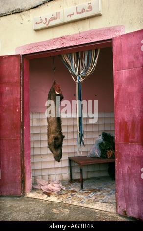 Algerien El Oued Kopf hängen an Metzgerei Kamels zu zeigen, dass das Fleisch frisch ist Stockfoto