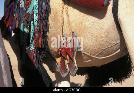 Algerien Tamanrasset Sandalen von Tuareg Mann hängen, Kamel Stockfoto