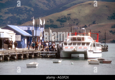 Passagiere an Bord ein Wavepiercer Katamaran Ausflug Boot um Delfine Akaroa Harbour Christchurch Neuseeland Südinsel Stockfoto