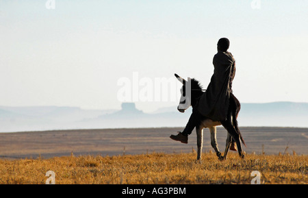 Basotho Mann in Decke gehüllt draußen klirrend kalt Wetter in Lesotho, Afrika zu halten; Reiten Donkeynear Maluti mountains Stockfoto