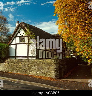 Cheshire Stockport Bramhall Benja Falten im Herbst Stockfoto