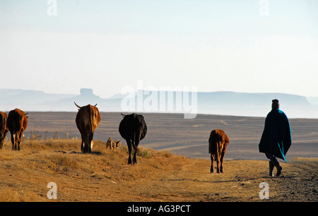 Basotho Mann in Decke gehüllt draußen klirrend kalt Wetter in Lesotho, Afrika zu halten; Bewachung der Rinderherden Stockfoto