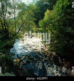 Cheshire Stockport Marple Brücke Fluß Goyt Stockfoto