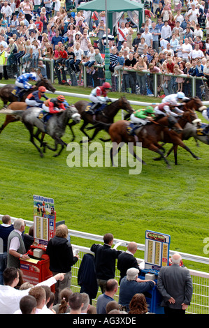 Rennpferde beim Chester Rennen treffen England UK Juli 2005 Stockfoto