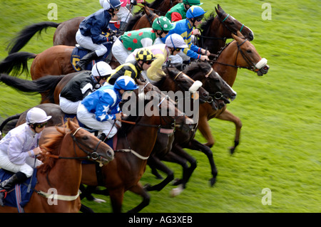 Rennpferde beim Chester Rennen treffen England UK Juli 2005 Stockfoto