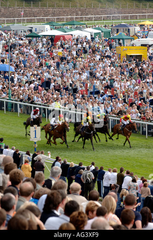 Rennpferde beim Chester Rennen treffen England UK Juli 2005 Stockfoto