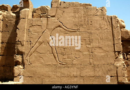 Relief Schnitzerei an Wand in Karnak Tempel, Luxor, Ägypten Stockfoto