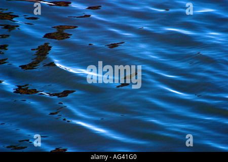 Wasseroberfläche, die Schaffung einer getönten Raumgefühl Stockfoto