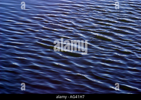 Wasseroberfläche, die Schaffung einer getönten Raumgefühl Stockfoto