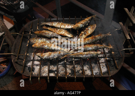 Gegrillte Sardinen Portugal Stockfoto