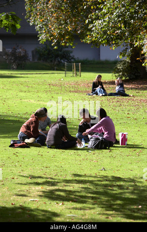 Gruppe von ausländischen asiatische Studenten sitzen haben ein Picknick mit paar hinter sitzen auf Rasen mit gefallenen Herbst Blätter Stockfoto