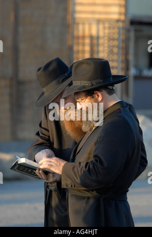 Ultra-orthodoxe Juden beten am Strand von Tel Aviv während der Durchführung der 'Tashlich' Ritual, in dem Juden ihre Sünden werfen' vor Yom Kippur durchgeführt. Stockfoto