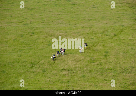 Geführte walking Gruppe Kreuzung Freiland auf Taff Trail in der Nähe von Storey Arme in den Brecon Beacons National Park Powys South Wales UK Stockfoto