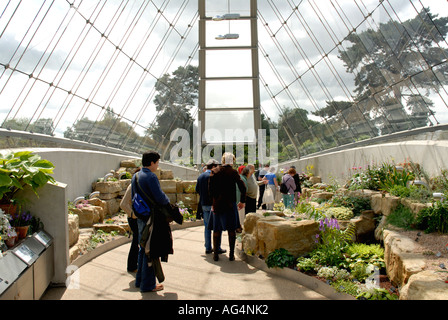 Im Inneren Davies Alpine House neue Gewächshaus geöffnet März 2006 Royal Botanic Gardens Kew Richmond Surrey England England UK Europa Stockfoto