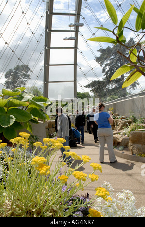 Im Inneren Davies Alpine House neue Gewächshaus geöffnet März 2006 Royal Botanic Gardens Kew Richmond Surrey England England UK Europa Stockfoto