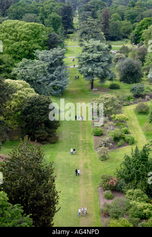 Ansicht von Cedar Vista von oben der chinesische Pagode Royal Botanic Gardens Kew Richmond Surrey England England UK Europa EU Stockfoto