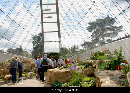 Im Inneren Davies Alpine House neue Gewächshaus geöffnet März 2006 Royal Botanic Gardens Kew Richmond Surrey England England UK Europa Stockfoto