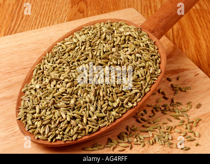 GETROCKNETE FENCHELSAMEN Stockfoto
