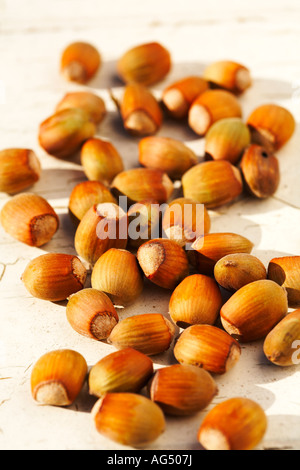 Haselnuss Hazel Muttern Corylus mit Schalen Schalen Handauflegen gemalten notleidenden Holz Hintergrund außerhalb Stockfoto