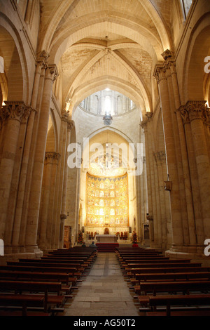 Hauptschiff, alte Kathedrale von Salamanca, Salamanca, Kastilien und Leon, Spanien Stockfoto
