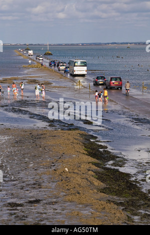 Passage du Gois Causeway, Ile de Noirmoutier, Vendée, Pays De La Loire, Frankreich Stockfoto