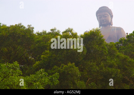 Po Lin Monastery Hong Kong Big Buddha Bäume und Big Buddha Stockfoto