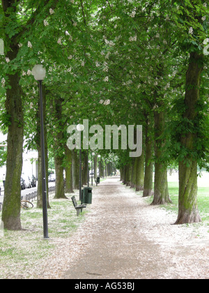 Strandvägen Avenue in Stockholm, Schweden. Stockfoto