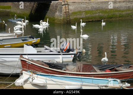 Schwäne im Hafen von Emsworth über festgemachten Schlauchboot gesehen Stockfoto