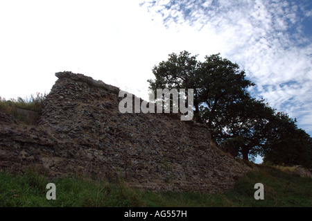 Flint Wand, Teil der Venta Icenorum Roman Stadt außerhalb Norwich, Norfolk, Großbritannien Stockfoto