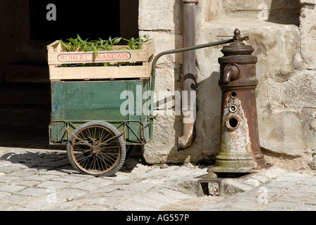 Attraktive Wasser Auslauf mit Kiste Minze Pflanzen für den Verkauf auf Handwagen, Burgund Dorf Noyers Sur Serein Stockfoto