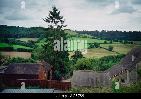 Foto copyright Pete Millson 2003 Tel 44 0 776 807 7353 Slad Tal Gloucestershire Stockfoto