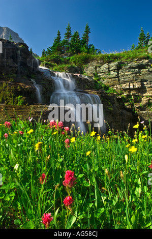 Wildblumen an einem Wasserfall in der Nähe von Mt. Reynolds im Glacier National Park, Montana. Stockfoto