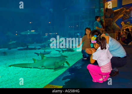 Peking CHINA, Gruppenmenschen, Familie, Kinder, Peking Zoo Interior Aquarium, Familie posiert vor der Haiausstellung Stockfoto