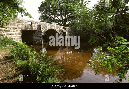 Devon Dartmoor Horndon Hill Brücke über Fluß Tavy Stockfoto