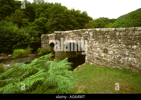 Devon Drewsteignton Fingle Bridge über den Fluß Teign Stockfoto