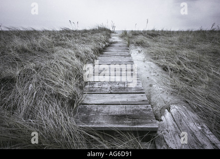 Pfad A Promenade führt bis zum Meer Stockfoto