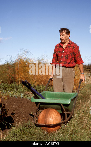 Pensionierter Mann mit Schubkarre im Garten oder Zuteilung Stockfoto