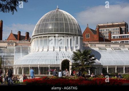 Das Palmenhaus in Belfasts Botanic Gardens Stockfoto