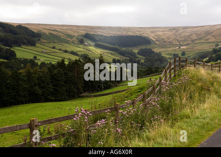 UK Yorkshire Nidderdale Oberwelle des Sonnenlichts auf isolierte Bauernhaus unter Pott Moor fallen Stockfoto