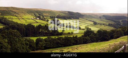 UK Yorkshire Nidderdale Oberwelle von Sonnenlicht fällt auf vereinzelte Bauernhäuser unter Masham Moor Panorama Stockfoto